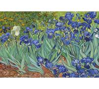 Rompecabezas de 1000 Piezas Irises de Vincent Van Gogh - 70 x 50 cm - Juguete Educativo de Desafío para Adultos y Niños
