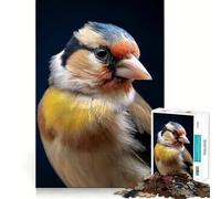 Rompecabezas de 1000 Piezas Jilguero,Primer Plano,Bordes Lisos,Juego para desarrollar la Mente,diversión,Momento Acogedor,Regalo de cumpleaños o Hobby (50x75cm)