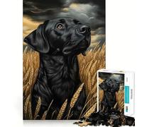 Rompecabezas de 1000 Piezas Labrador Negro en un Campo de Trigo,Borde sin Costuras Juego Divertido para ejercitar la Mente,Ideal para Pasar el rato 38x52cm