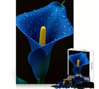 Rompecabezas de 1000 Piezas Lirio Cala Azul con Gotas de Rocío para Adultos Diversión, Aprendizaje y Tiempo Libre Bordes precisos Un Regalo Ideal (50x75cm)