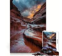 Rompecabezas de 1000 Piezas Lluvia en el Cañón para Adolescentes Juguete para ejercitar la Mente Juego en Grupo Arte y ensamblaje Regalo clásico (38x26cm)