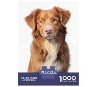Rompecabezas De 1000 Piezas Nova Scotia Duck Dog Rompecabezas para Adolescentes Juego De Ingenio Regalos para Mujeres Cumpleaños Y Navidad 52x38cm/1000pcs