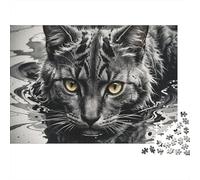 Rompecabezas de 1000 Piezas Ojos de Gato mojados con un Gato Maine Coon Negro. Juegos educativos para Adultos. Hermosa decoración. Difícil. Regalos de cumpleaños. 70x50cm/1000 Piezas.