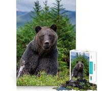 Rompecabezas de 1000 Piezas Oso en el Bosque Juego de articulación preciso Juguete de Juego cognitivo Juego de Tiempo Libre Divertido (38x52cm)