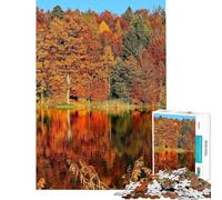 Rompecabezas de 1000 Piezas Otoño en el Bosque Junto al Lago Un desafío para la Inteligencia Cerebral Juguetes adictivos Juegos Familiares Análisis y lógica (tamaño 75x50cm)