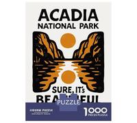 Rompecabezas De 1000 Piezas para Adolescentes Acadia National Park Graphic Design Rompecabezas para Adultos Juegos De Relajación Desafío Difícil Desafío Educativo 38x26cm/1000pcs