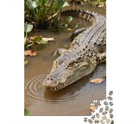 Rompecabezas De 1000 Piezas para Adolescentes Amazon River Crocodile Rompecabezas Juegos Relajantes Decoración De Pared Regalos para Amigos Y Familiares 38x26cm/1000pcs