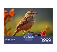 Rompecabezas De 1000 Piezas para Adolescentes Amazonian Bird Photography Rompecabezas para Adultos Juego Práctico Mejora La Memoria Regalo De Cumpleaños, Regalos, 52x38cm/1000pcs