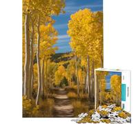 Rompecabezas de 1000 Piezas para Adolescentes Árboles de álamo temblón en otoño a lo Largo de un Camino Juguete antiestrés Que estimula el análisis y la lógica Un Reto para completar (tamaño 38x52cm)