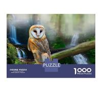 Rompecabezas De 1000 Piezas para Adolescentes Barn Owl by Waterfall Rompecabezas para Adultos Juegos Relajantes Análisis Y Lógica para Cumpleaños, Navidad 52x38cm/1000pcs