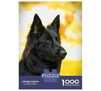 Rompecabezas De 1000 Piezas para Adolescentes Belgian Shepherd Dog Rompecabezas para Adolescentes Juegos Relajantes Decoración Juego Desafiante Regalos 38x26cm/1000pcs