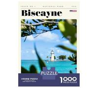 Rompecabezas De 1000 Piezas para Adolescentes Biscayne National Park Lighthouse Travel Art Rompecabezas para Adultos Juego Familiar Decoración del Hogar Regalos para Reducir El Estrés 70x50cm/1000pcs