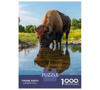 Rompecabezas De 1000 Piezas para Adolescentes Bison Drinking from Pond Wildlife Photo Rompecabezas para Adultos Juegos Relajantes Mejora La Memoria Ayuda A Ejercitar El Cerebro 38x26cm/1000pcs