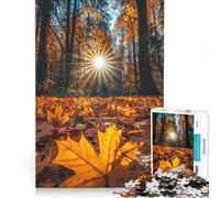 Rompecabezas de 1000 Piezas para Adolescentes: Bosque otoñal a la luz del Sol Juegos relajantes, Divertidos y con Humor Un desafío único 38x52cm
