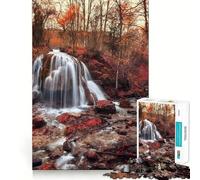 Rompecabezas de 1000 Piezas para Adolescentes Bosque otoñal con Cascada,Corte Suave,Juego de lógica,Tiempo de Juego Relajante,Regalo de cumpleaños para Aficionados (38x52cm)