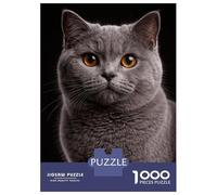 Rompecabezas De 1000 Piezas para Adolescentes British Shorthair Cat Portrait Rompecabezas para Adultos Juego Práctico Decoración De Pared Regalos Y Cumpleaños Únicos 70x50cm/1000pcs