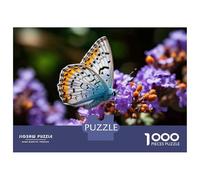 Rompecabezas De 1000 Piezas para Adolescentes Butterfly on Purple Flower-1 Rompecabezas para Adultos Juegos Familiares Regalos para Mujeres Cumpleaños 38x26cm/1000pcs