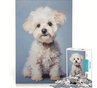 Rompecabezas de 1000 Piezas para Adolescentes Cachorro de caniche Blanco Juego práctico Ideal para Pasar el Tiempo en casa cumpleaños y Navidad 38x52cm