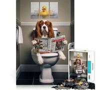 Rompecabezas de 1000 Piezas para Adolescentes Cavalier King Charles Spaniel,Juego de Ajuste, Actividad Cerebral Inteligente,Tiempo de Juego Relajante,Actividad de cumpleaños (38x26cm)