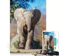 Rompecabezas de 1000 Piezas para Adolescentes con diseño de Elefante Corriendo de Zoopar, Que estimula la Memoria y Ayuda a Escapar de la Rutina ¡Una cálida Sorpresa! (38x26cm)
