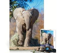 Rompecabezas de 1000 Piezas para Adolescentes con diseño de Elefante Corriendo de Zoopar, Que estimula la Memoria y Ayuda a Escapar de la Rutina ¡Una cálida Sorpresa! (38x26cm)