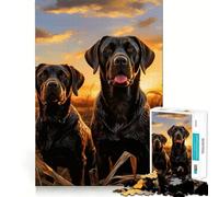 Rompecabezas de 1000 Piezas para Adolescentes con Dos labradores Decoración para articulaciones Juguete para ejercitar la Mente Juego para Relajarse Regalo Divertido de Navidad (38x52cm)