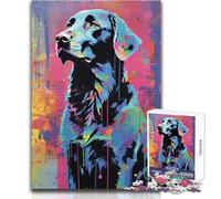 Rompecabezas de 1000 Piezas para Adolescentes, diseño Abstracto Plano, Ideal para familias, para divertirse y Jugar en la Noche Tamaño: 38x26cm