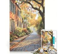 Rompecabezas de 1000 Piezas para Adolescentes Distrito histórico de Savannah Georgia Pintura artística Juguetes para armar Mejora la Memoria colección de Artistas Bellas Artes 50x75cm