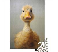 Rompecabezas De 1000 Piezas para Adolescentes Duckling Cute Baby Duck Rompecabezas para Adultos Juguetes DIY Desafío Difícil Regalos para Amigos Y Familiares 52x38cm/1000pcs