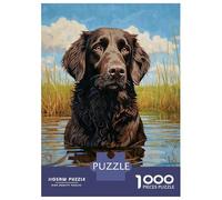 Rompecabezas De 1000 Piezas para Adolescentes FlatCoated Retriever Water Rompecabezas para Adultos Juguetes Antiestrés Regalos De Desafío Difícil para Amigos Y Familiares 70x50cm/1000pcs