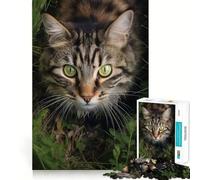 Rompecabezas de 1000 Piezas para Adolescentes Gato Caminando sobre la Hierba,diseño de Corte Fino,Juego de concentración,Regalo para Momentos de Paz,diversión y Navidad (38x26cm)
