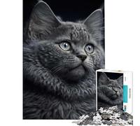 Rompecabezas de 1000 Piezas para Adolescentes Gato con Mirada interesada Juego práctico y adictivo Juguetes para Cultivar la Paciencia Gran Regalo Un Reto difícil (Tamaño 38x26cm)