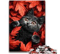 Rompecabezas de 1000 Piezas para Adolescentes: Gato Entre Las Hojas de Arce 1000 Piezas para Adolescentes, un desafío difícil para aliviar el estrés Regalos de Amigo Secreto (38x26cm)
