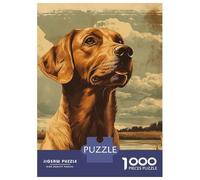 Rompecabezas De 1000 Piezas para Adolescentes Golden Dog Portrait in Nature Rompecabezas para Adultos Juguetes Antiestrés Regalos De Desafío Difícil para Amigos Y Familiares 52x38cm/1000pcs