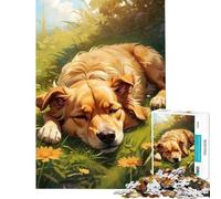 Rompecabezas de 1000 Piezas para Adolescentes Golden Retrievers Dream Relax Games Juguetes adictivos para Cultivar la Paciencia Gran Regalo Un Reto difícil (Tamaño 38x26cm)