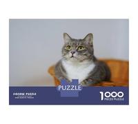 Rompecabezas De 1000 Piezas para Adolescentes Gray Tabby Cat in Basket Rompecabezas para Adultos Juego Práctico Difícil Regalos De Cumpleaños Y Únicos 38x26cm/1000pcs
