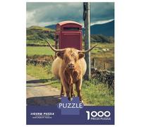Rompecabezas De 1000 Piezas para Adolescentes Highland Cow Isle of Mull Rompecabezas para Adolescentes Juego Práctico para Mejorar La Memoria Regalos Y Cumpleaños Únicos 52x38cm/1000pcs