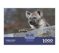 Rompecabezas De 1000 Piezas para Adolescentes Hyena Portrait on A Rock Rompecabezas para Adultos Juguetes Antiestrés Regalos De Desafío Difícil para Amigos Y Familiares 38x26cm/1000pcs