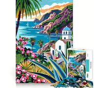 Rompecabezas de 1000 Piezas para Adolescentes Italia Islas Eolias Arte Minimalista Juego de Bordes limpios Juego de concentración Regalo Juego de Juego inactivo Arte de Pared navideño (50x75cm)