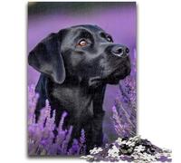 Rompecabezas de 1000 Piezas para Adolescentes, Lavanda y Labrador, 1000 Piezas para Adultos, Juegos educativos clásicos, Hermosa decoración (75x50cm)