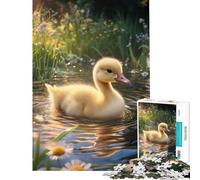 Rompecabezas de 1000 Piezas para Adolescentes Lindo Patito en un Estanque Divertido Juego desafiante Regalo Ideal para cumpleaños y para Toda la Familia (Tamaño 38x26cm)
