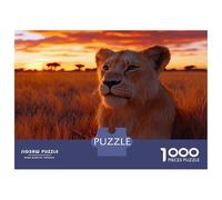 Rompecabezas De 1000 Piezas para Adolescentes Lion Cub at Sunset in Savanna Rompecabezas para Adultos Juguetes De Bricolaje Desafío Difícil Cumpleaños 38x26cm/1000pcs