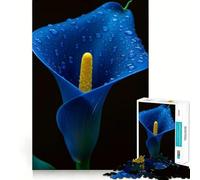 Rompecabezas de 1000 Piezas para Adolescentes Lirio Cala Azul con Gotas de Rocío,Arte de Borde Exact,Juego de Habilidades Lógicas,Momentos Divertidos y Relajados,Regalo Artístico Navideño 38x26cm