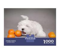 Rompecabezas De 1000 Piezas para Adolescentes Maltese Puppy Rompecabezas Juego Familiar Pero Divertido Y Humorístico Cumpleaños 70x50cm/1000pcs
