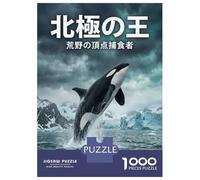 Rompecabezas De 1000 Piezas para Adolescentes Orca Leaping in Arctic Waters Rompecabezas para Adultos Juegos Relajantes Que Mejoran La Memoria Regalos para Reducir El Estrés 38x26cm/1000pcs