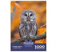 Rompecabezas De 1000 Piezas para Adolescentes Owl Perched on Branch in Autumn Rompecabezas para Adultos Juegos Familiares Mejora La Memoria Cumpleaños Y Navidad 52x38cm/1000pcs