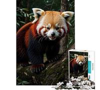 Rompecabezas de 1000 Piezas para Adolescentes Panda Rojo Fauna Salvaje Un Reto para completar Decoración Juegos relajantes para Mayores de 14 años (38x52cm)