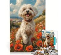 Rompecabezas de 1000 Piezas para Adolescentes Perro Havanés en un Campo de Amapolas decoración de Pared Ideal para Pasar el Tiempo en casa Durante Las Vacaciones para Fortalecer el Amor Entre Parejas