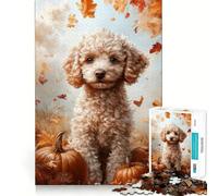 Rompecabezas de 1000 Piezas para Adolescentes Retrato de caniche otoñal con Calabazas Arte de Corte Limpio Juego Creativo Juguete Juego Relajante Arte (38x26cm)