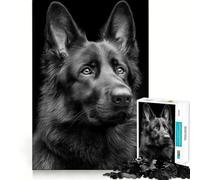 Rompecabezas de 1000 Piezas para Adolescentes Retrato de Pastor alemán Negro,Arte de Bordes precisos,Juego de lógica,diversión Tranquila,Regalo artístico de Navidad 38x26cm